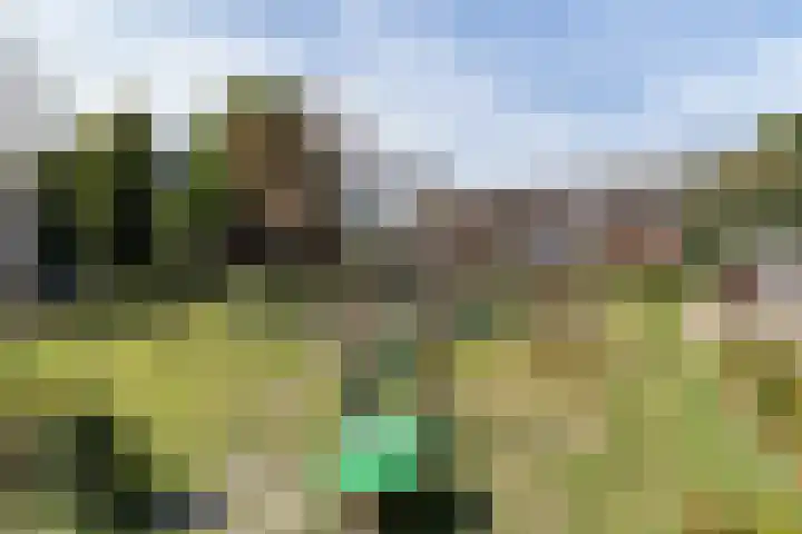 Ganzebloem 49 Kampen thumbnail 22