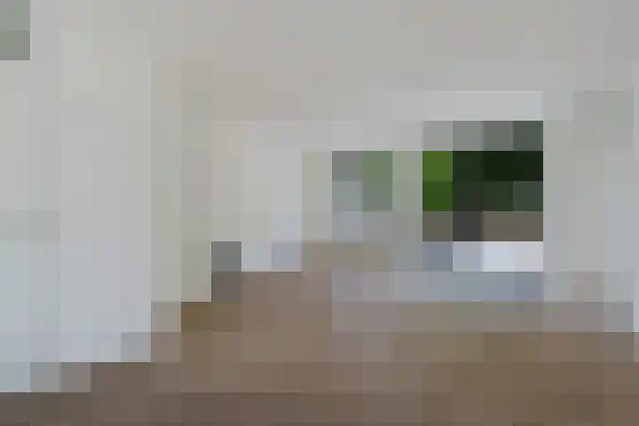 Ganzebloem 49 Kampen thumbnail 5