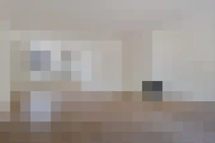 Ganzebloem 49 Kampen thumbnail 6