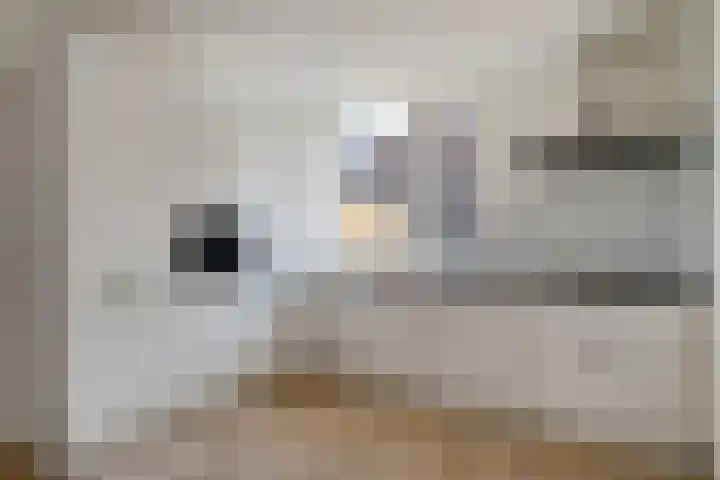 Ganzebloem 49 Kampen thumbnail 7