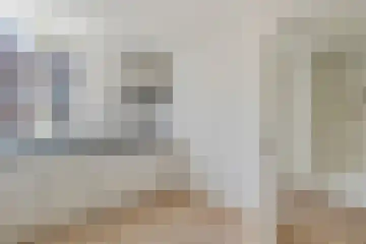 Ganzebloem 49 Kampen thumbnail 8