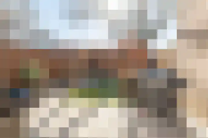 Ganzebloem 5 Culemborg thumbnail 17