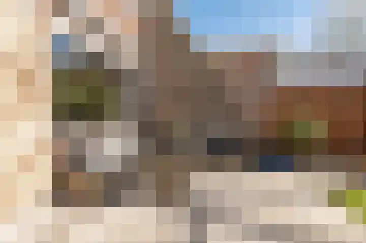Ganzebloem 5 Culemborg thumbnail 20