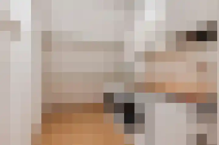 Ganzebloem 5 Culemborg thumbnail 37