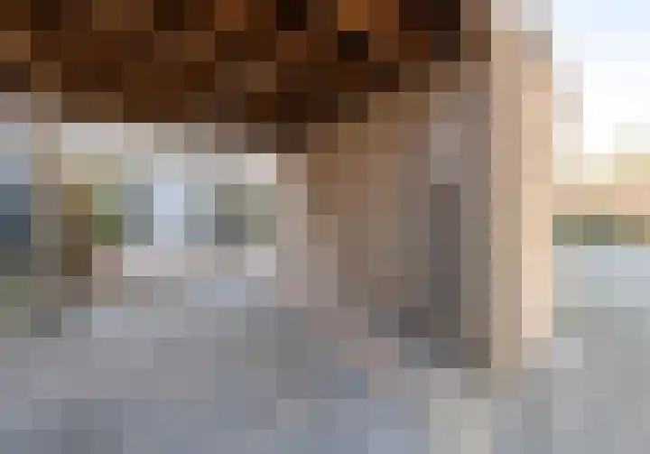 Ganzebloem 5 Culemborg thumbnail 42