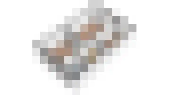Ganzebloem 5 Culemborg thumbnail 48