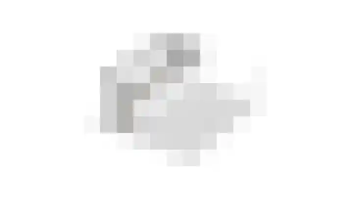 Ganzebloem 5 Culemborg thumbnail 53