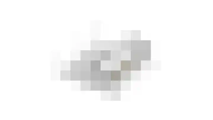 Ganzebloem 5 Culemborg thumbnail 54