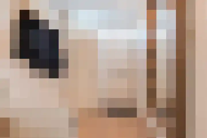 Ganzebloem 5 Culemborg thumbnail 7