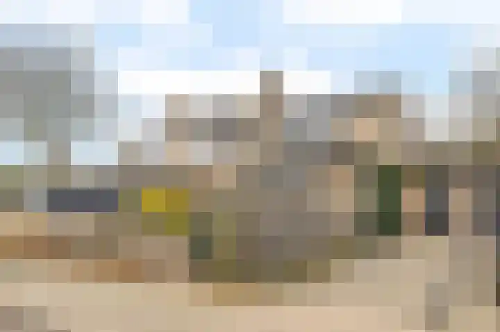 Ganzebloem 69 en Kampen
