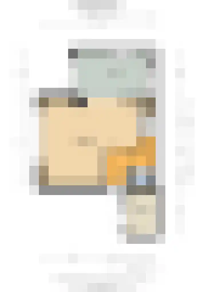 Ganzebloem 69 Kampen thumbnail 13