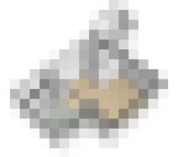 Ganzebloem 69 Kampen thumbnail 14