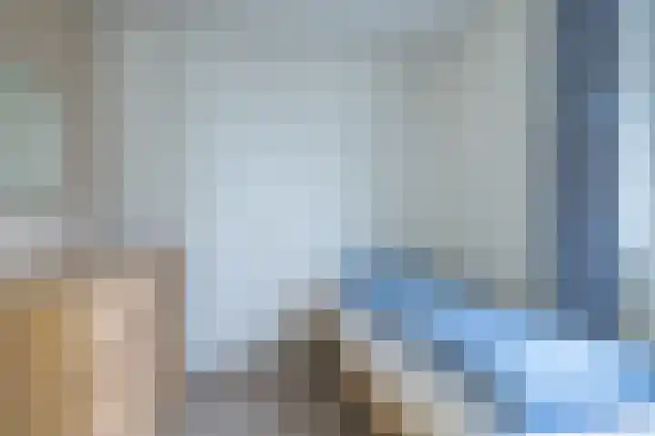 Ganzebloem 69 Kampen thumbnail 18