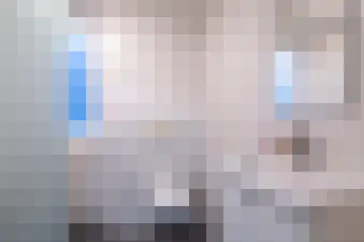Ganzebloem 69 Kampen thumbnail 20
