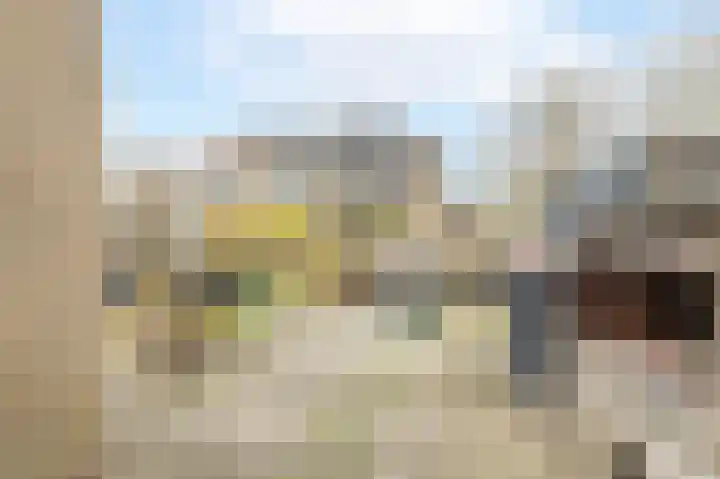 Ganzebloem 69 Kampen thumbnail 27