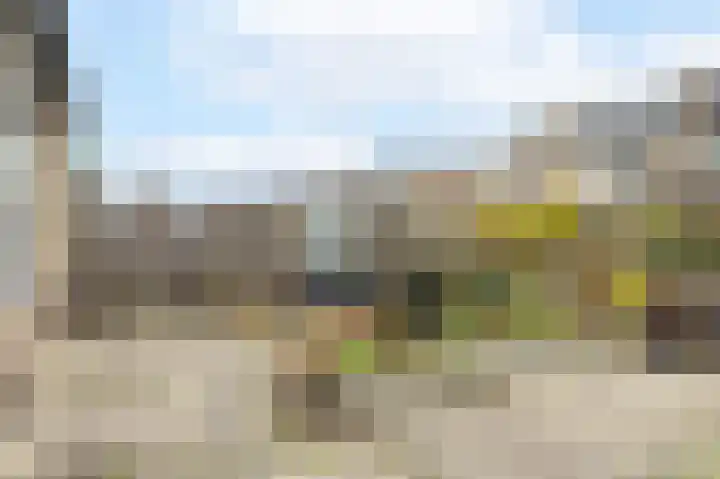 Ganzebloem 69 Kampen thumbnail 28