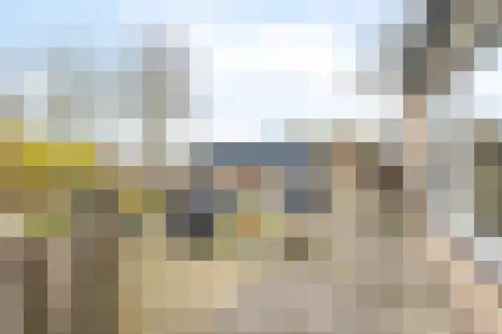Ganzebloem 69 Kampen thumbnail 29