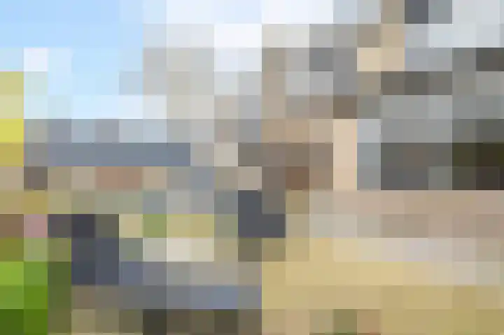 Ganzebloem 69 Kampen thumbnail 30