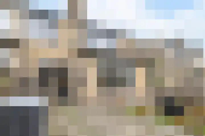 Ganzebloem 69 Kampen thumbnail 31