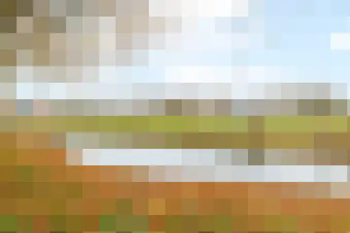 Ganzebloem 69 Kampen thumbnail 32