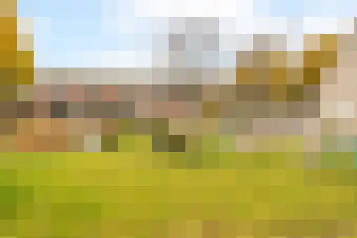 Ganzebloem 69 Kampen thumbnail 33