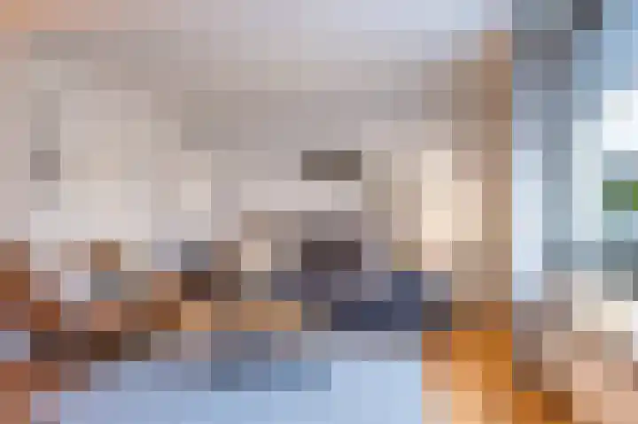 Ganzebloem 69 Kampen thumbnail 6
