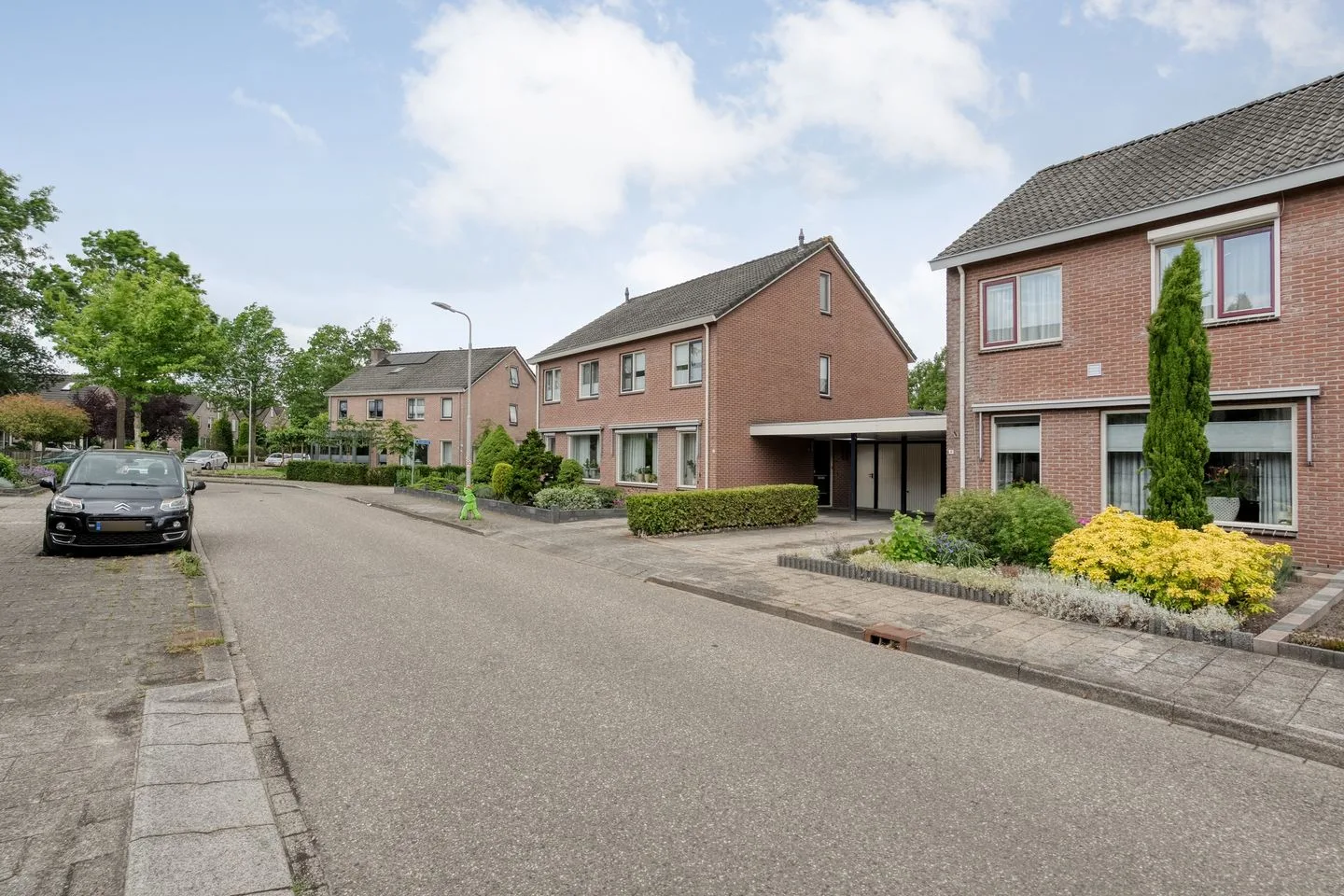 Ganzebloem 9 Hardenberg thumbnail 5