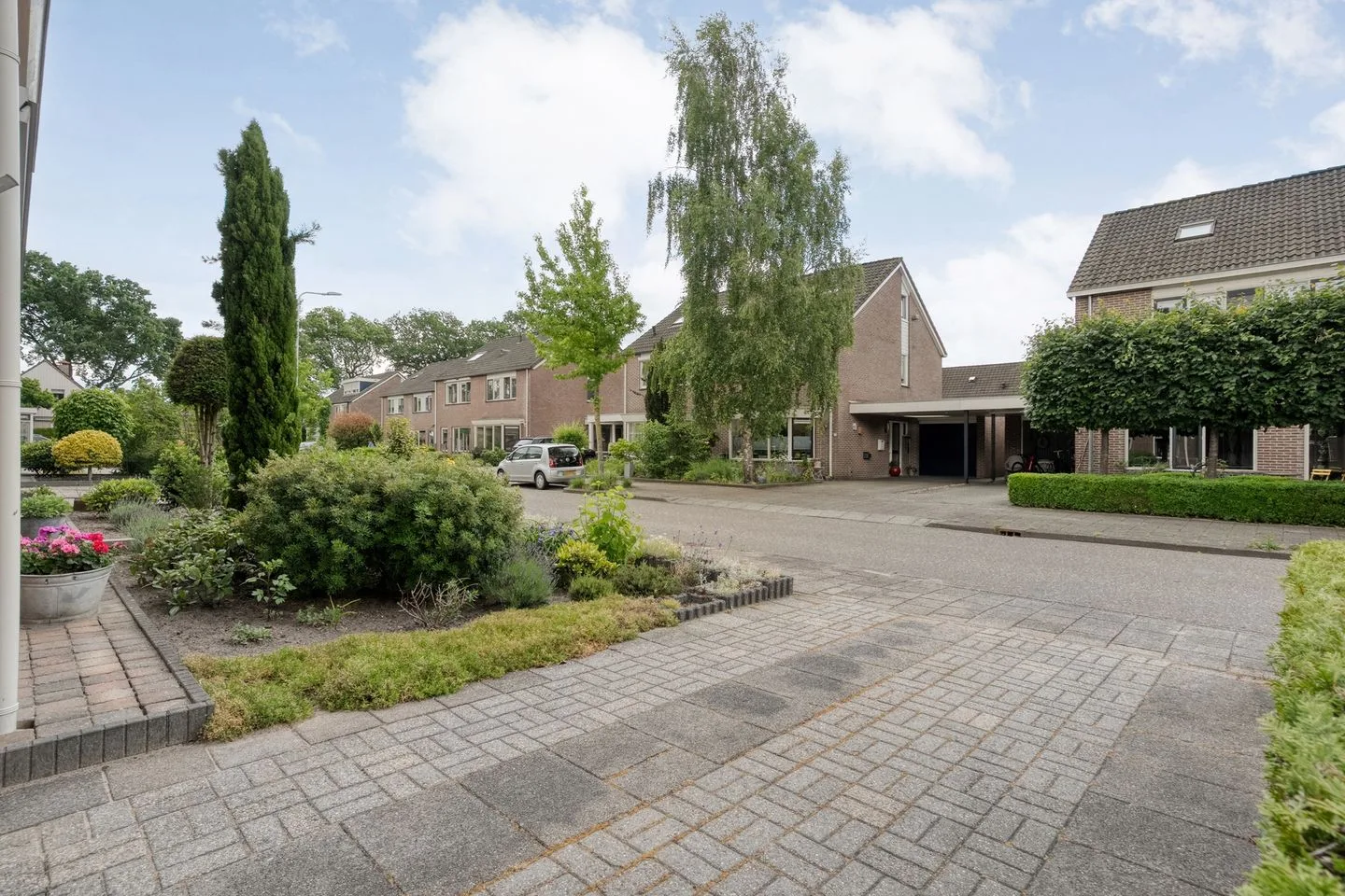Ganzebloem 9 Hardenberg thumbnail 6