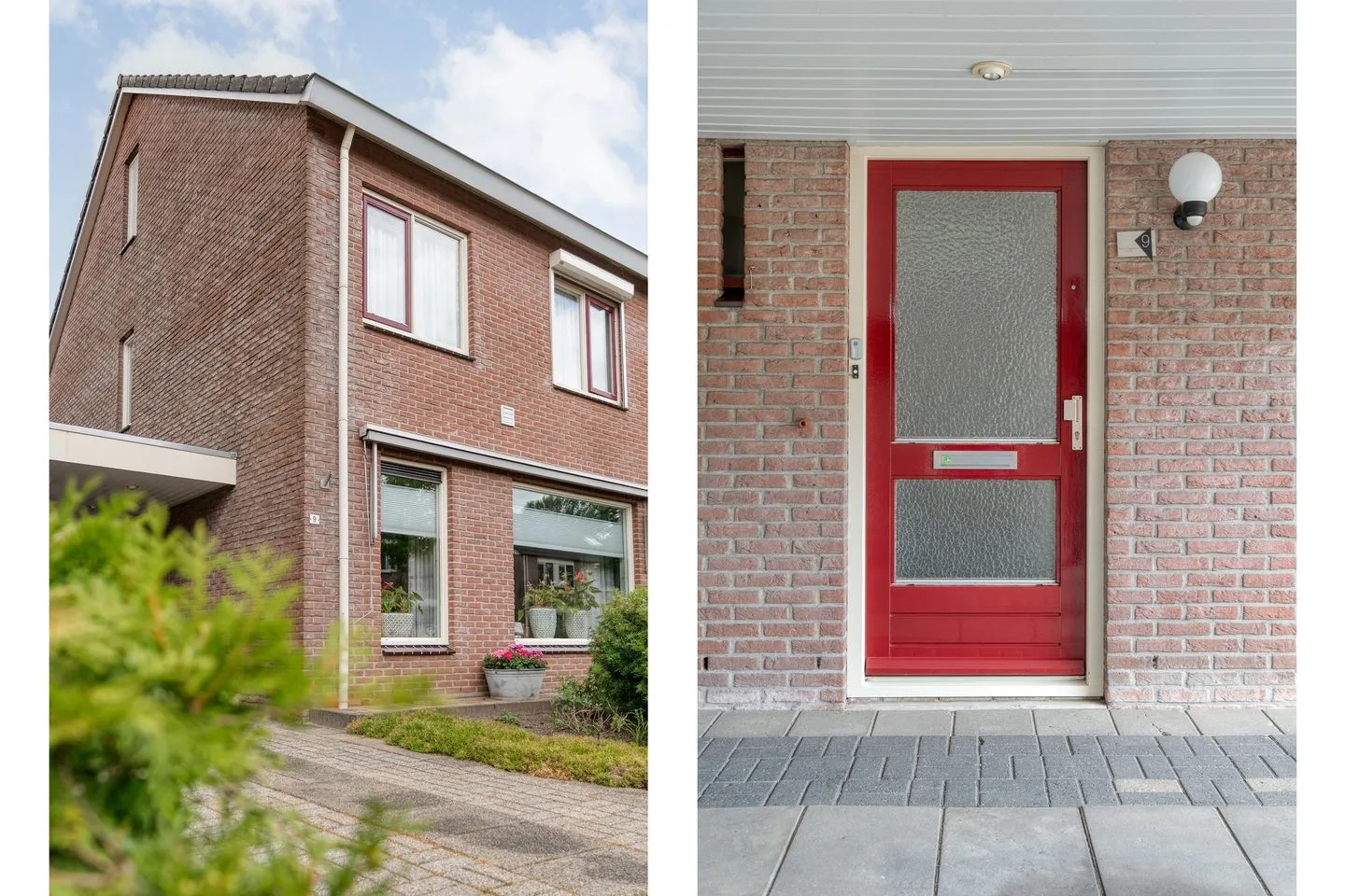 Ganzebloem 9 Hardenberg thumbnail 7