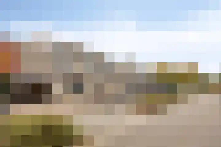 Ganzebloem 95 Kampen thumbnail 10