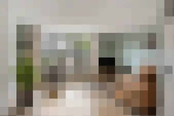 Ganzebloem 95 Kampen thumbnail 17