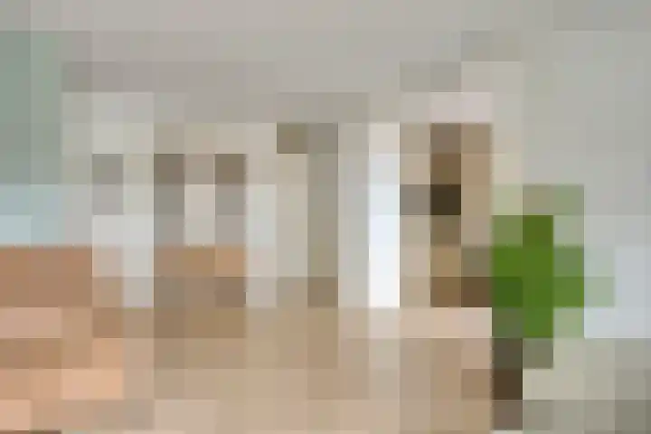 Ganzebloem 95 Kampen thumbnail 20