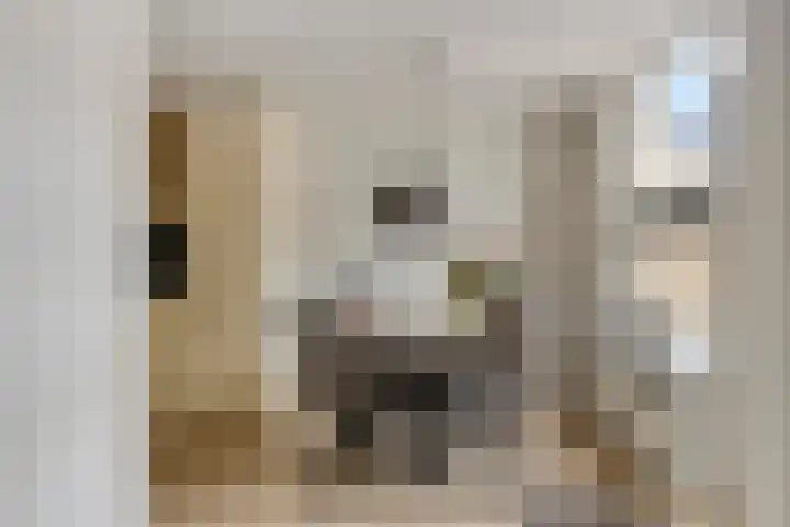 Ganzebloem 95 Kampen thumbnail 21