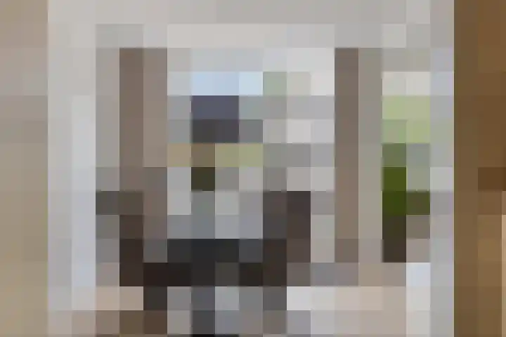 Ganzebloem 95 Kampen thumbnail 25