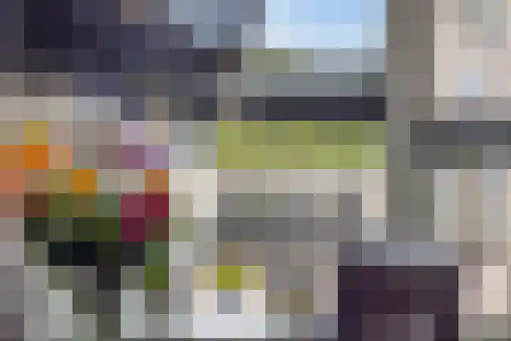 Ganzebloem 95 Kampen thumbnail 28