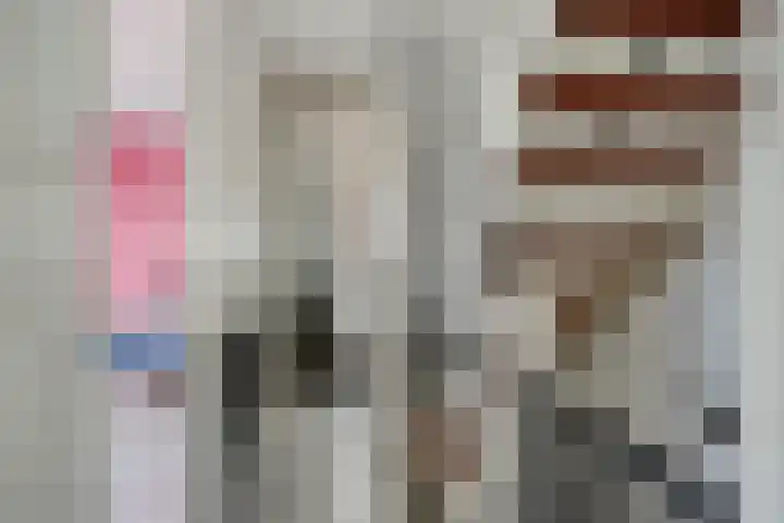 Ganzebloem 95 Kampen thumbnail 30