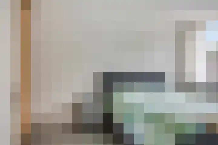 Ganzebloem 95 Kampen thumbnail 32