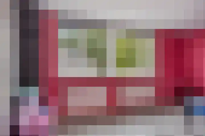 Ganzebloem 95 Kampen thumbnail 37