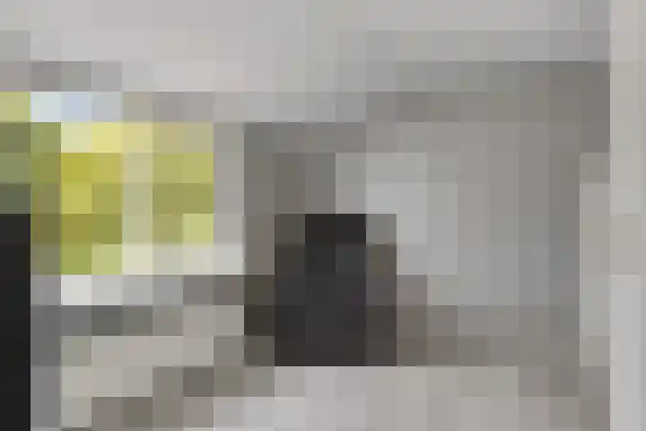Ganzebloem 95 Kampen thumbnail 42