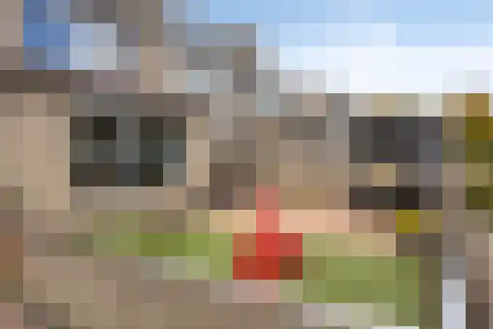 Ganzebloem 95 Kampen thumbnail 47