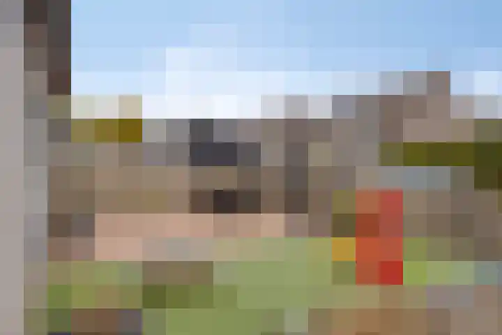 Ganzebloem 95 Kampen thumbnail 48