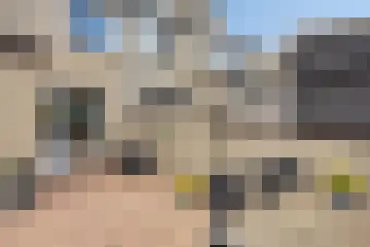 Ganzebloem 95 Kampen thumbnail 50