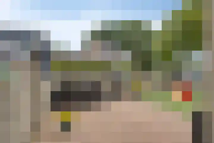 Ganzebloem 95 Kampen thumbnail 51