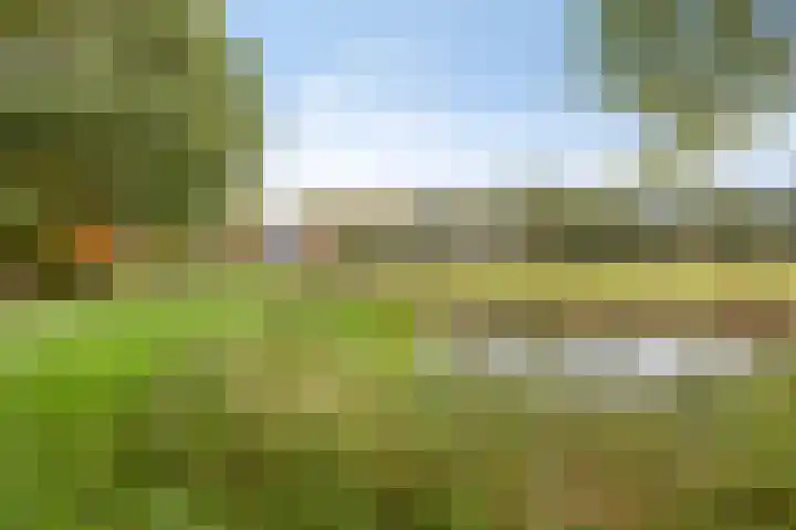 Ganzebloem 95 Kampen thumbnail 53
