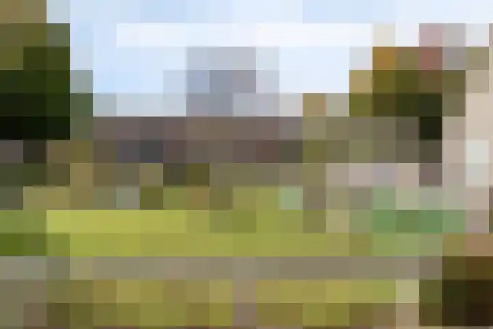 Ganzebloem 95 Kampen thumbnail 54