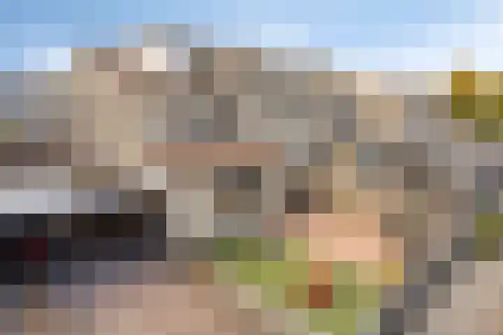 Ganzebloem 95 Kampen thumbnail 6