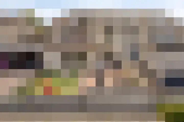 Ganzebloem 95 Kampen thumbnail 7