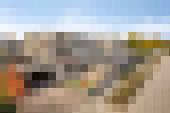 Ganzebloem 95 Kampen thumbnail 8