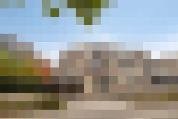 Ganzebloem 95 Kampen thumbnail 9