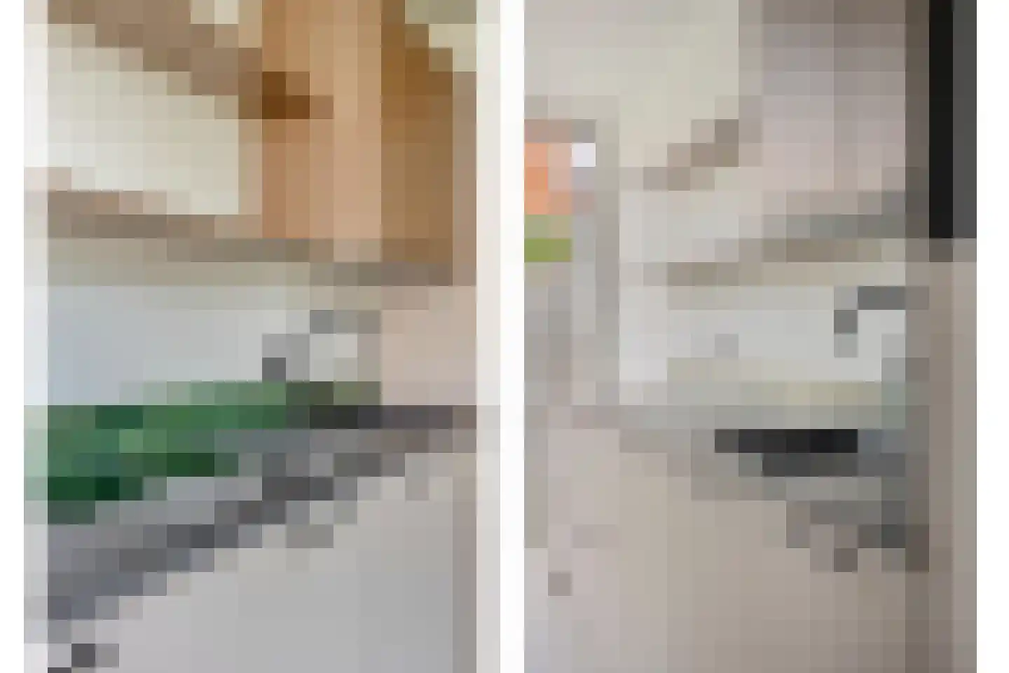 Ganzebloemstraat 13 Eindhoven thumbnail 22